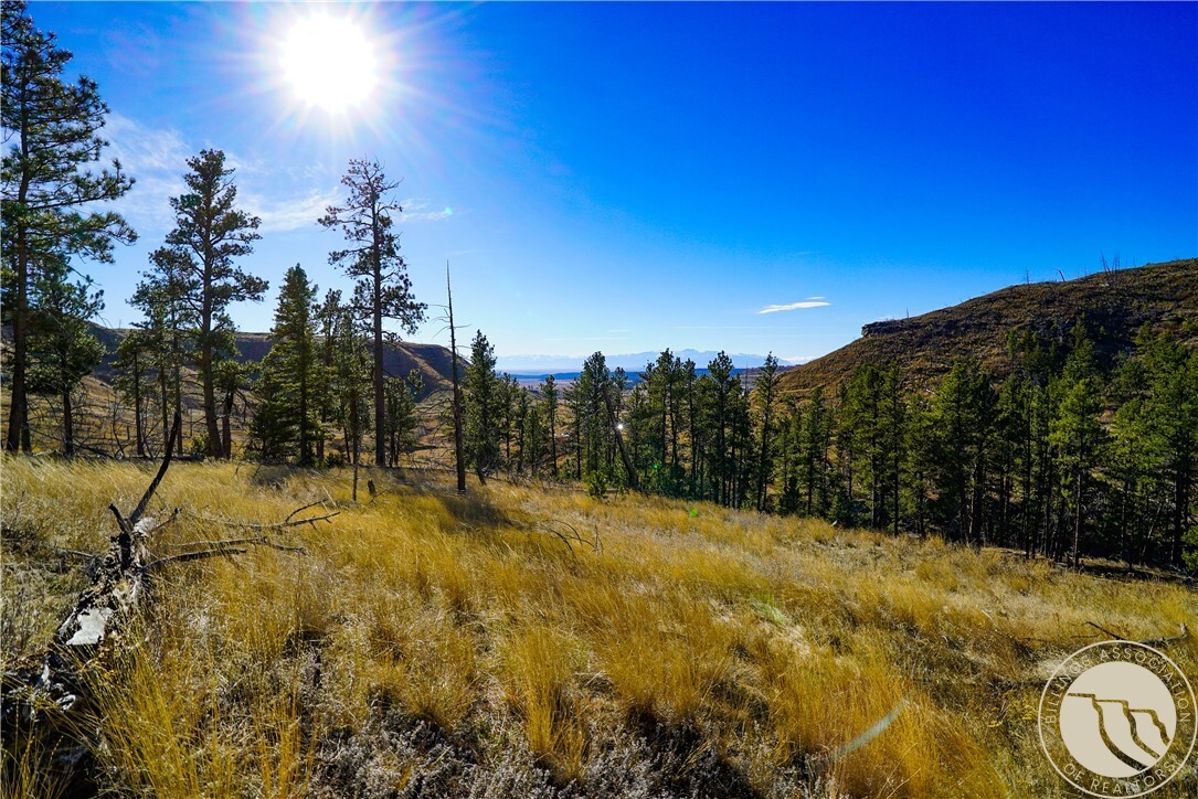 Property Photo:  0 Dry Hole Trail  MT 59069 