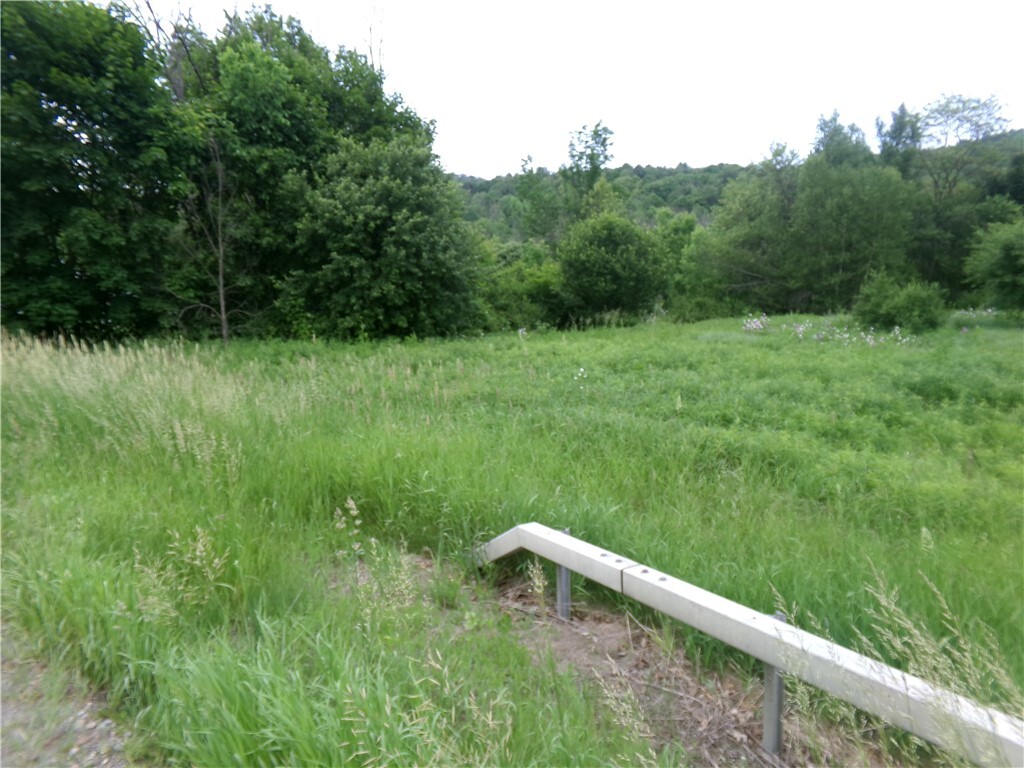 Property Photo: 0 Candor Road NY 14883