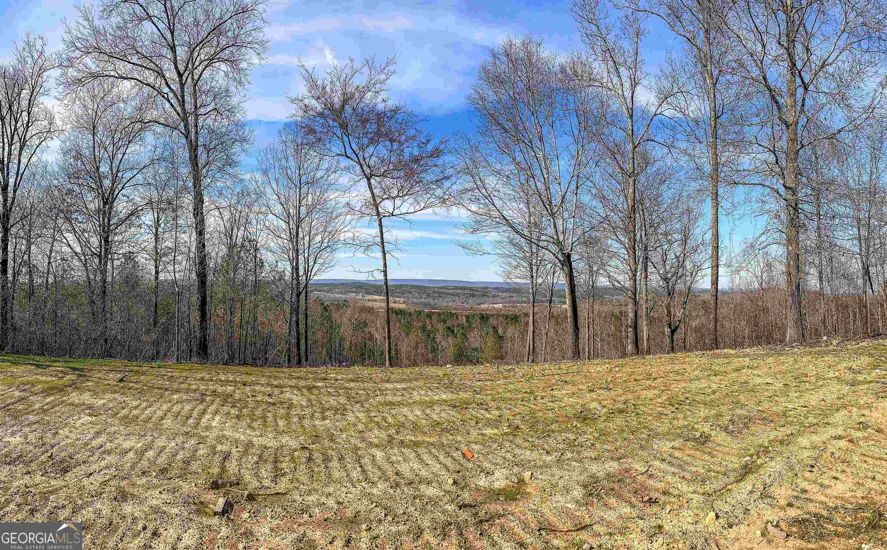 Property Photo:  0 Back Berryton Road  GA 30747 