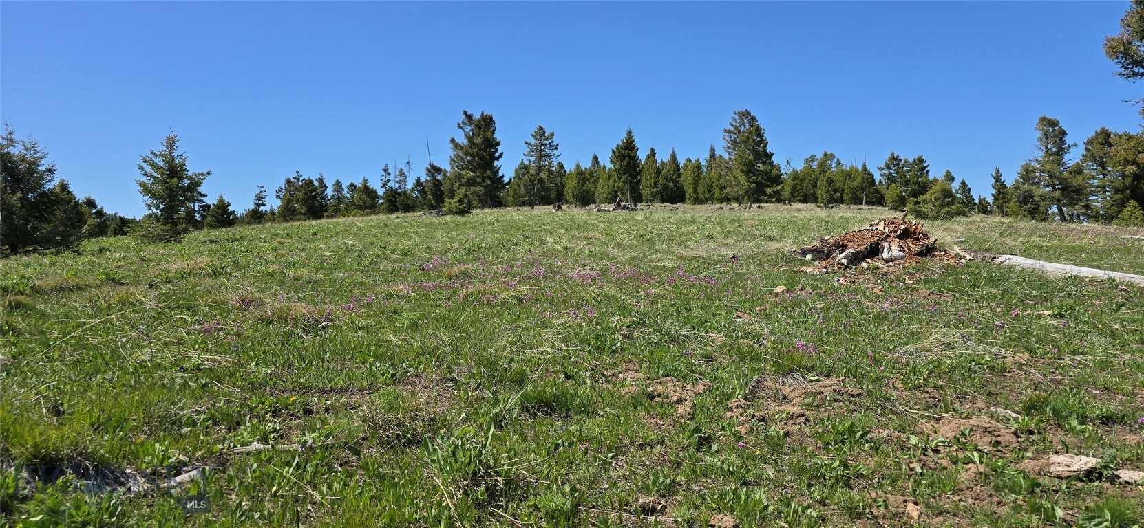 9 Garnet Range Tract  Drummond MT 59832 photo