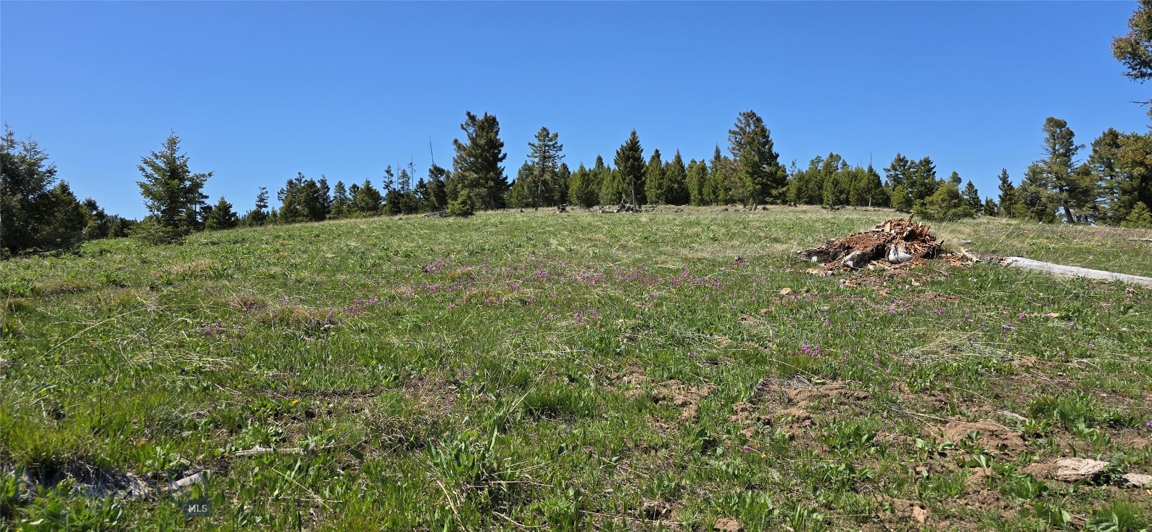 Property Photo: 9 Garnet Range Tract MT 59832