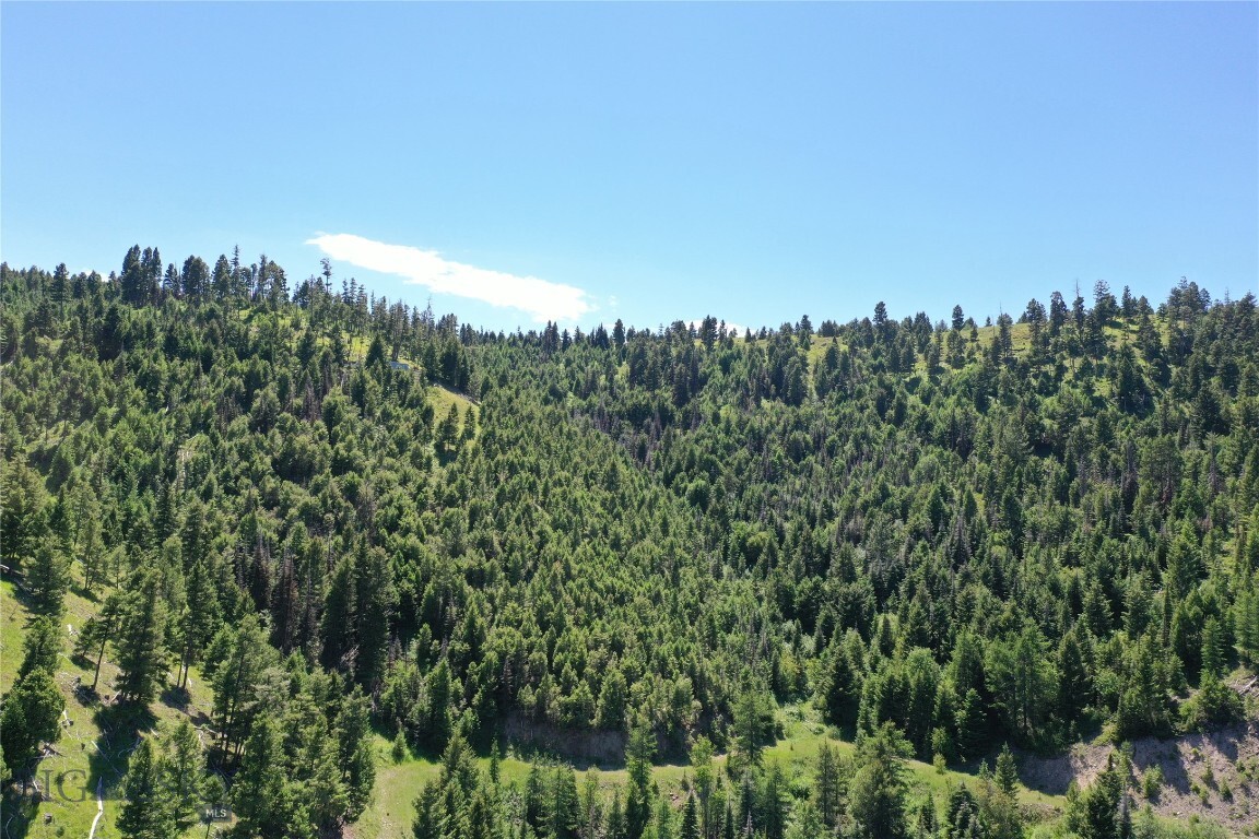 Property Photo: 13 Garnet Range Tract MT 59832