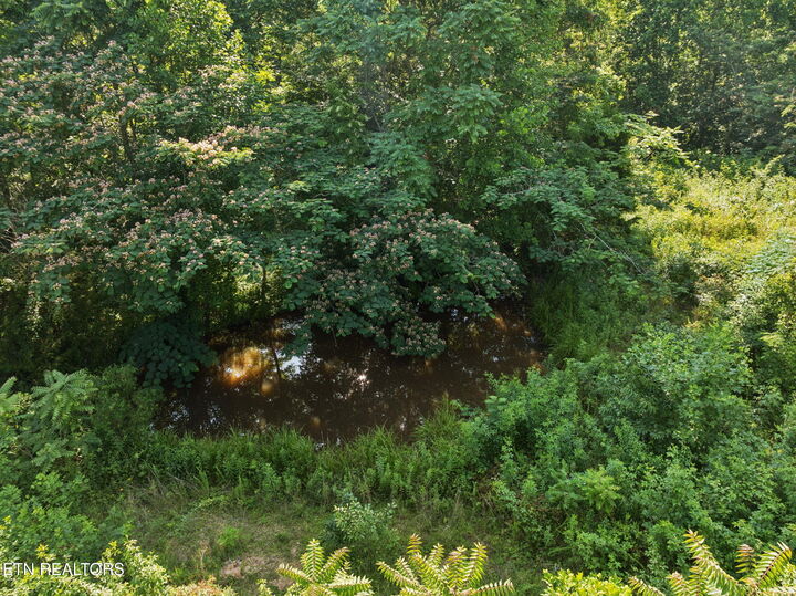 Property Photo:  378 Johnson Hollow Rd  TN 37866 