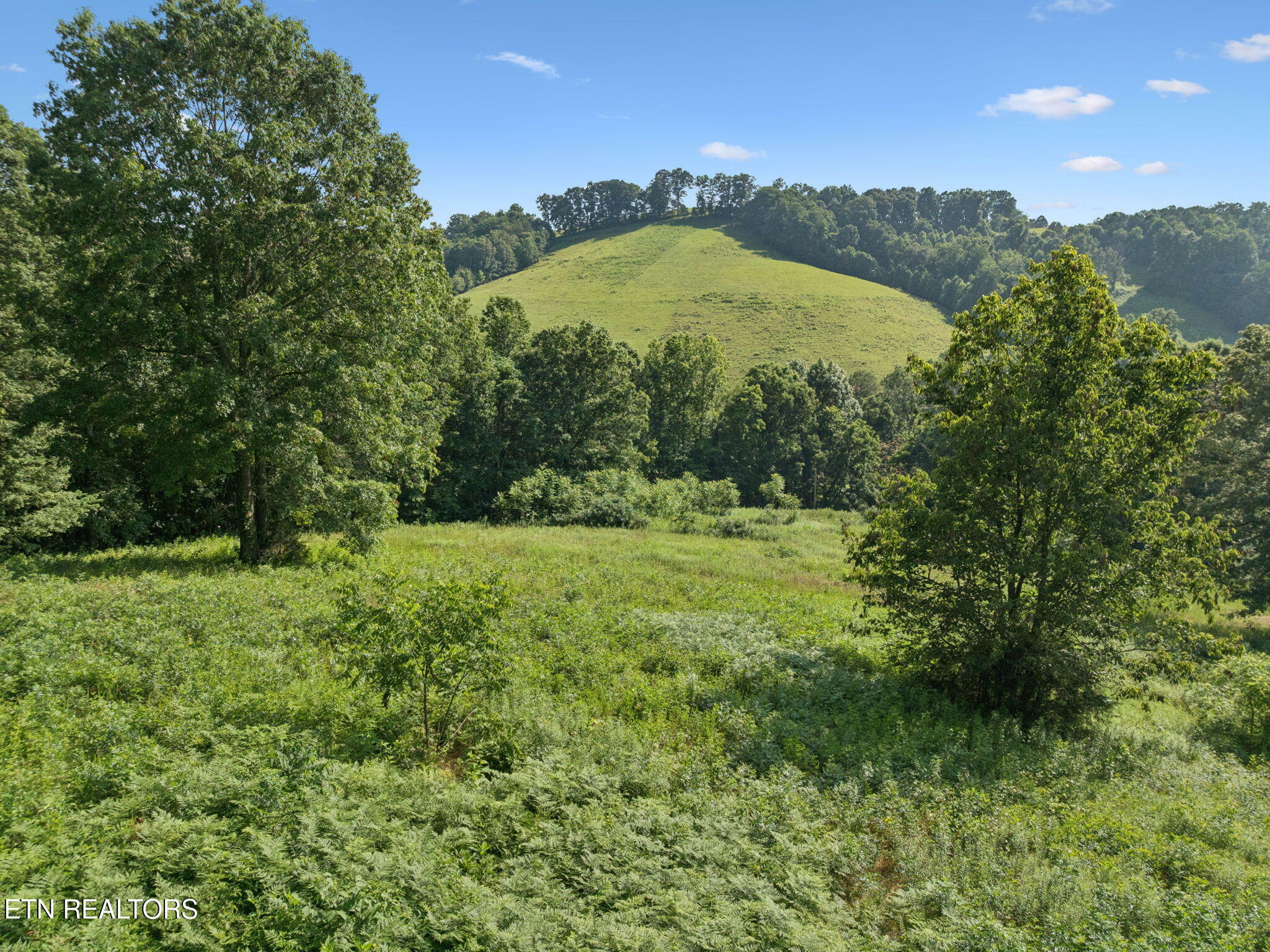 Property Photo: 378 Johnson Hollow Rd TN 37866