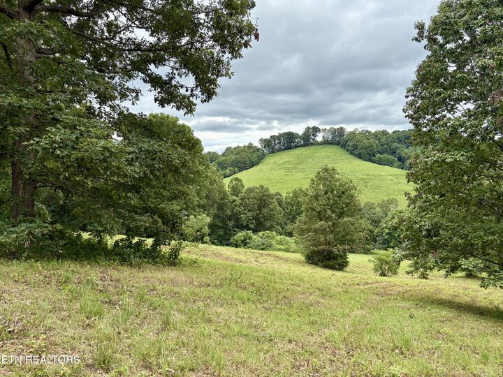 Property Photo:  378 Johnson Hollow Rd  TN 37866 