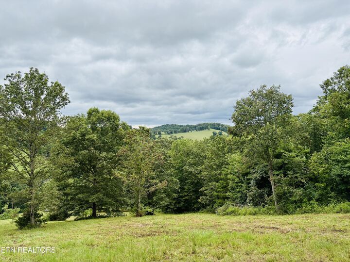 Property Photo: 378 Johnson Hollow Rd TN 37866