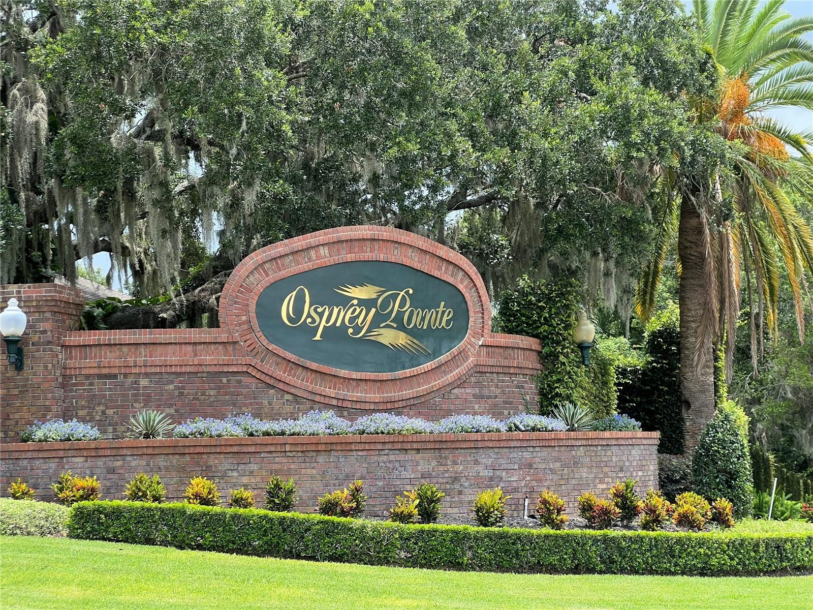 Property Photo: Lot 9 Osprey Pointe Boulevard FL 34711