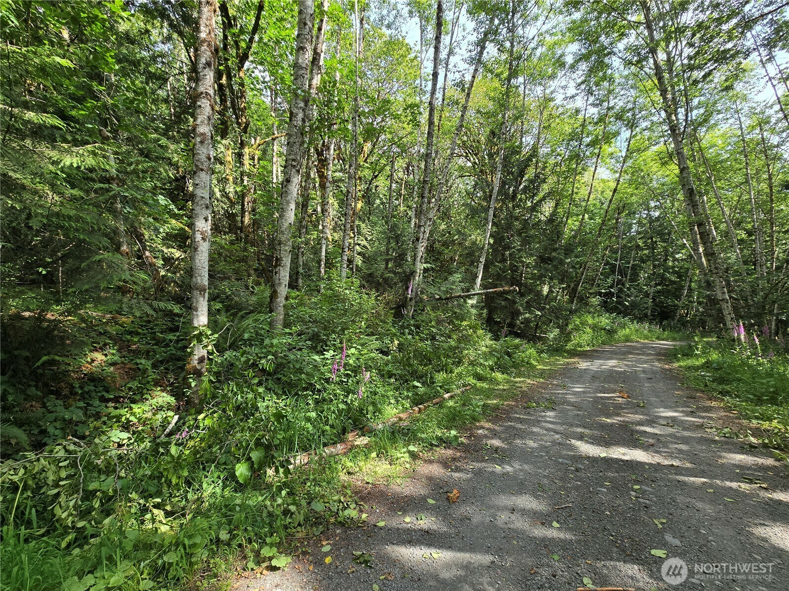 0 Xxx  Triton Heights Road  Lilliwaup WA 98555 photo