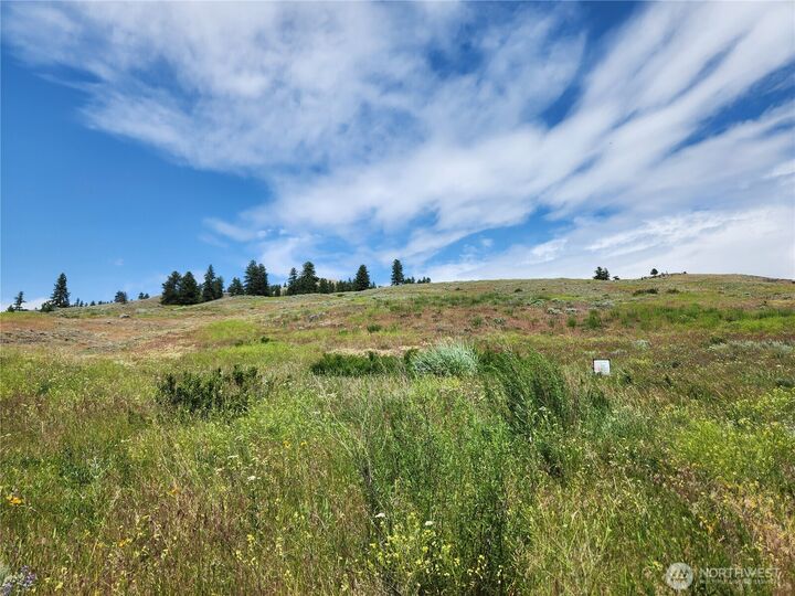 Property Photo: 999 Roundabout Road WA 98859