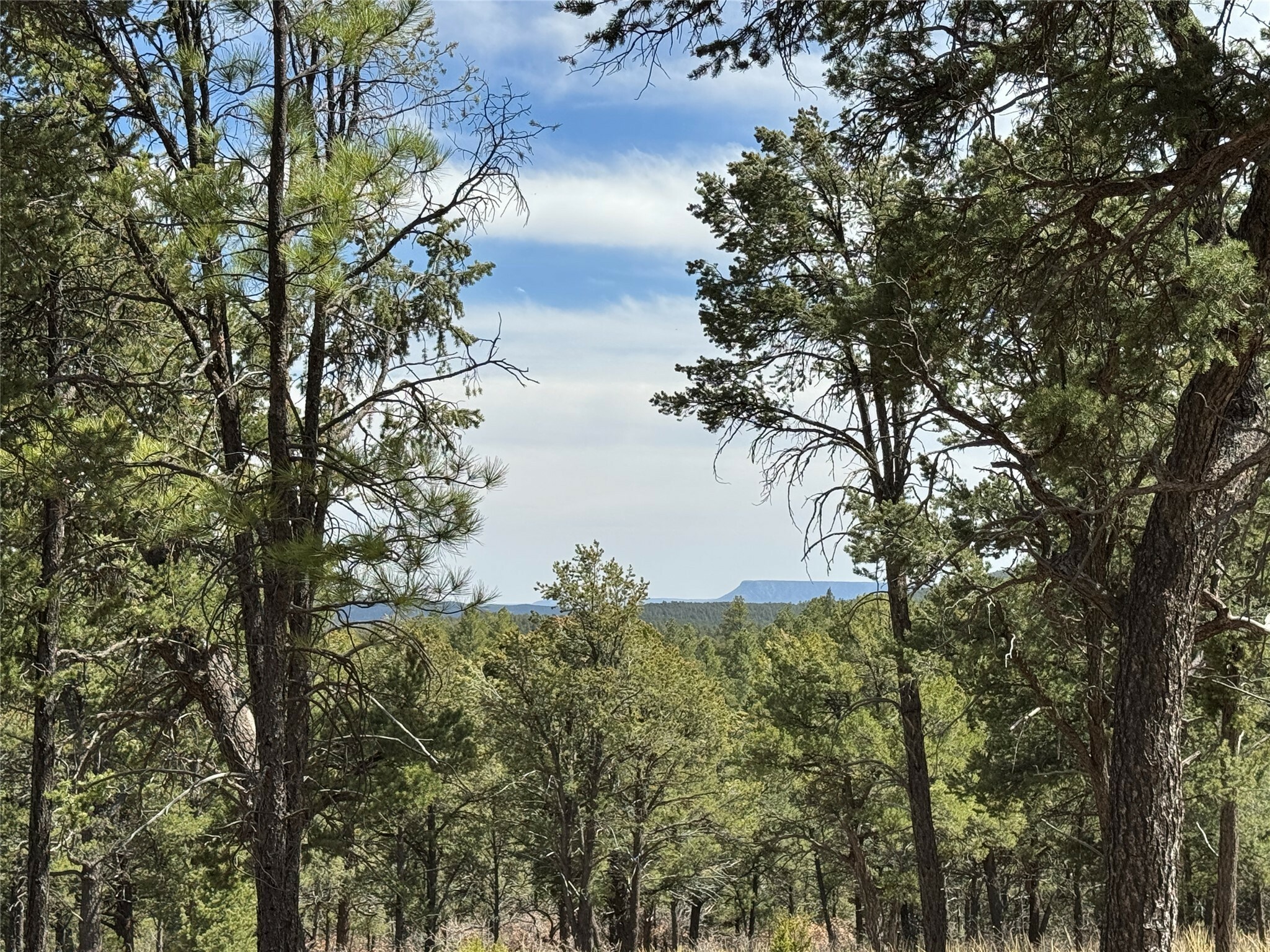 Property Photo: Lot 25 Lot 25 NM 87552