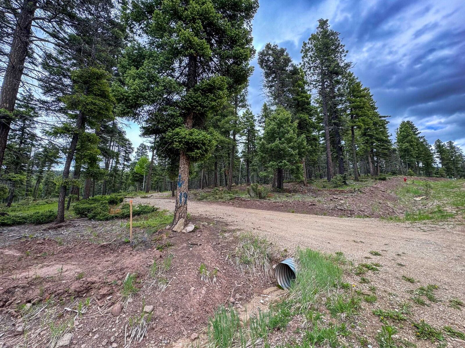 Property Photo: 19 Summit Place NM 87710