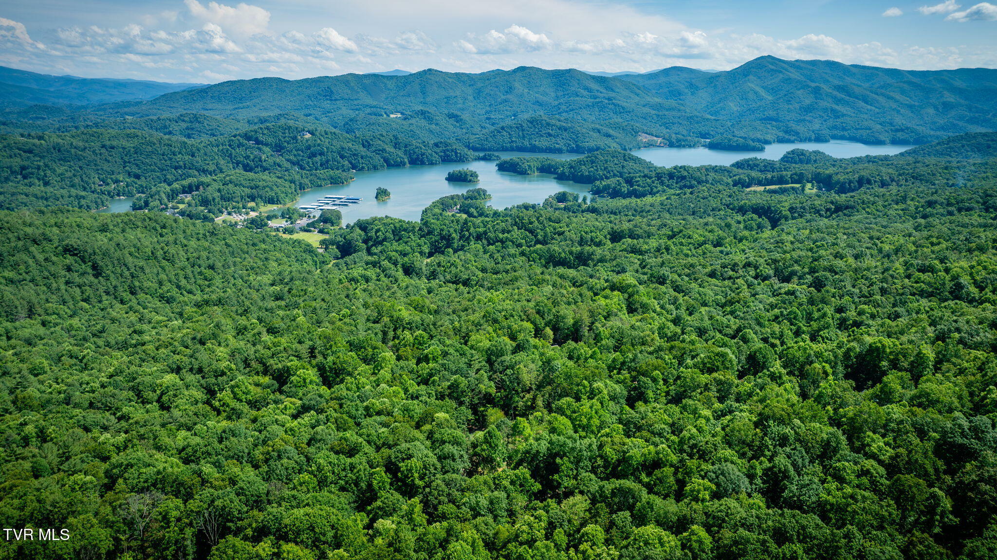 Property Photo: 110 Forest Drive TN 37640