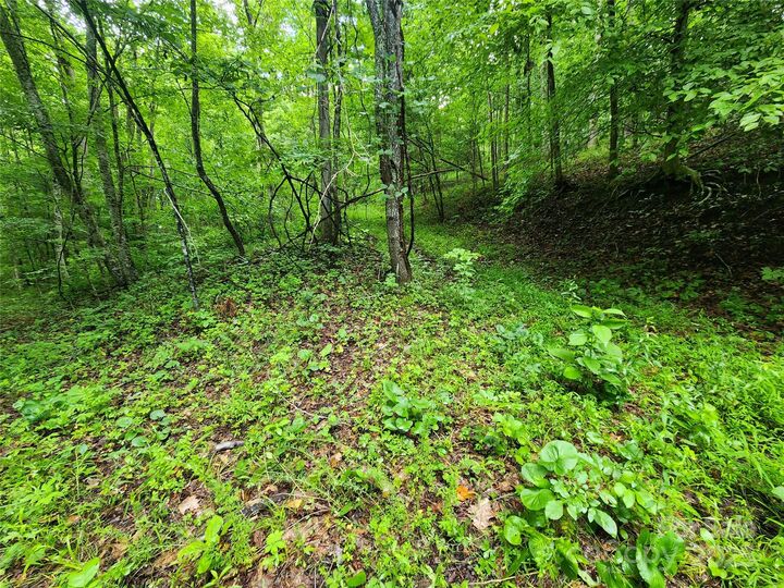 Property Photo:  9999 Henry Worley Lane  NC 28753 