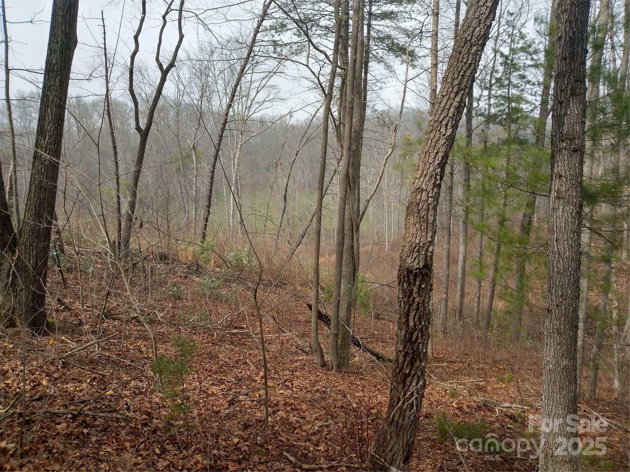 Property Photo: 72 Pounders Drive NC 28804