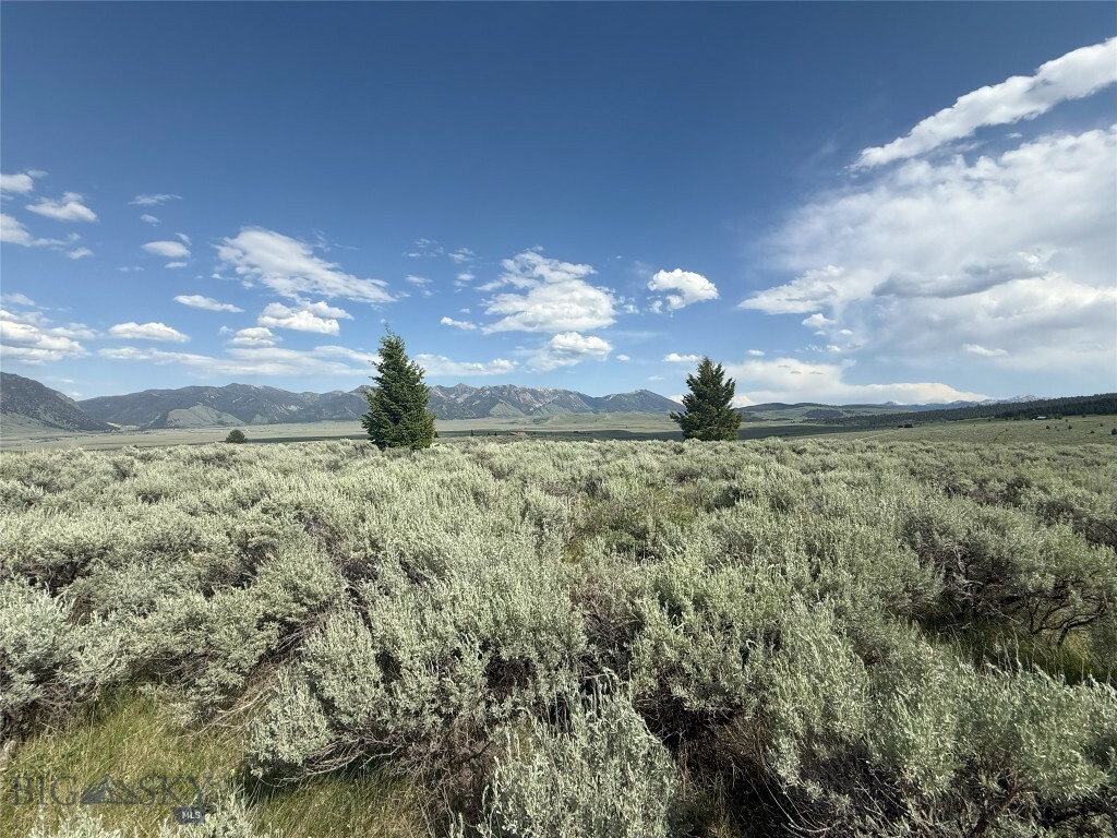 Property Photo:  Tbd Madison River Ranches Lot 14  MT 59720 