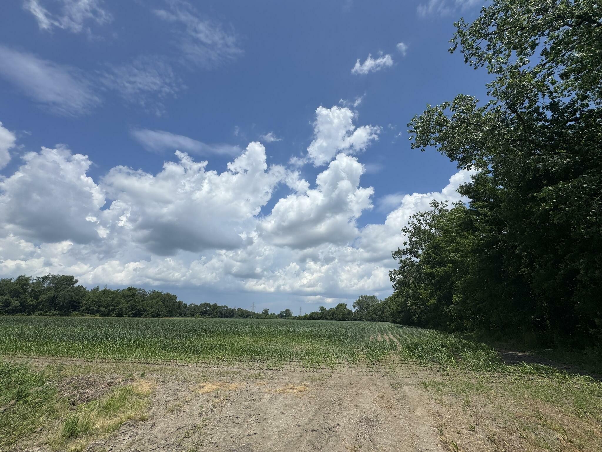 Property Photo: 31890 Edison Road IN 46552