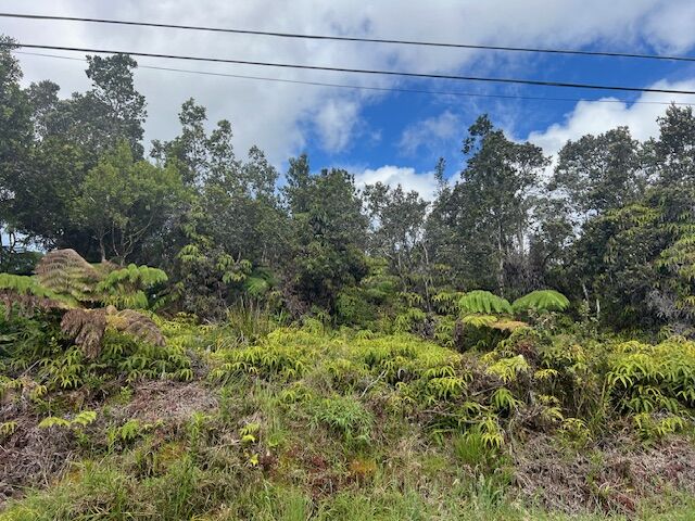 Property Photo: Nahelenani St HI 96785