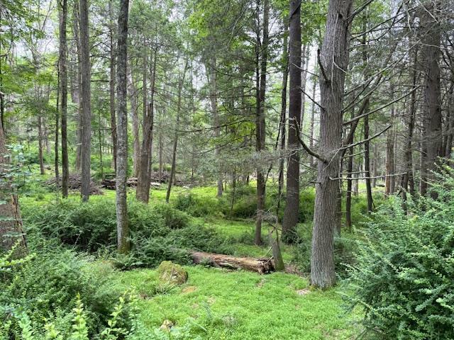 Property Photo: 131 Old Plank Road NY 12780