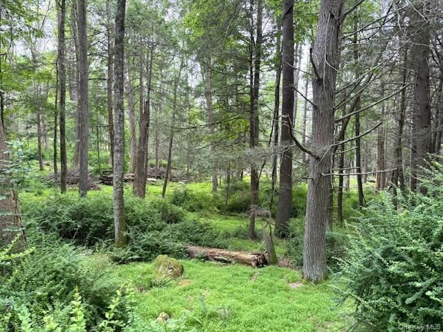 Property Photo:  131 Old Plank Road  NY 12780 