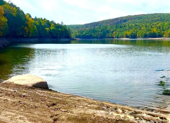 Property Photo:  131 Old Plank Road  NY 12780 