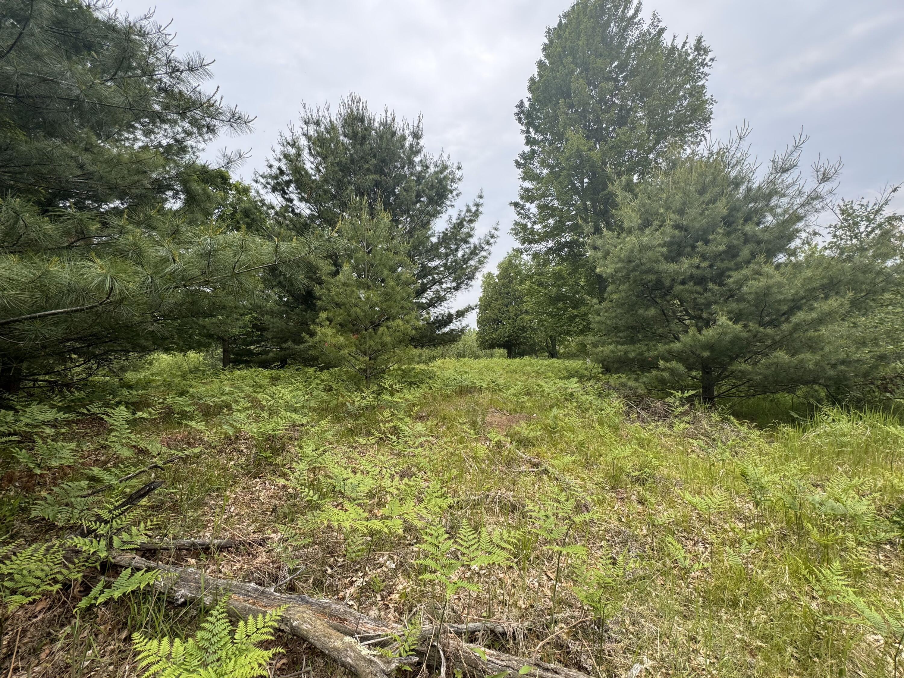 Property Photo: 6336 Cedar Trace MI 49346