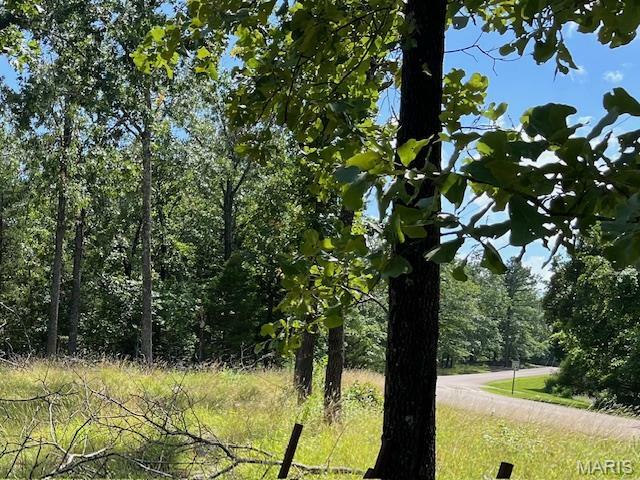 Property Photo: 5031 Port Perry Drive MO 63775