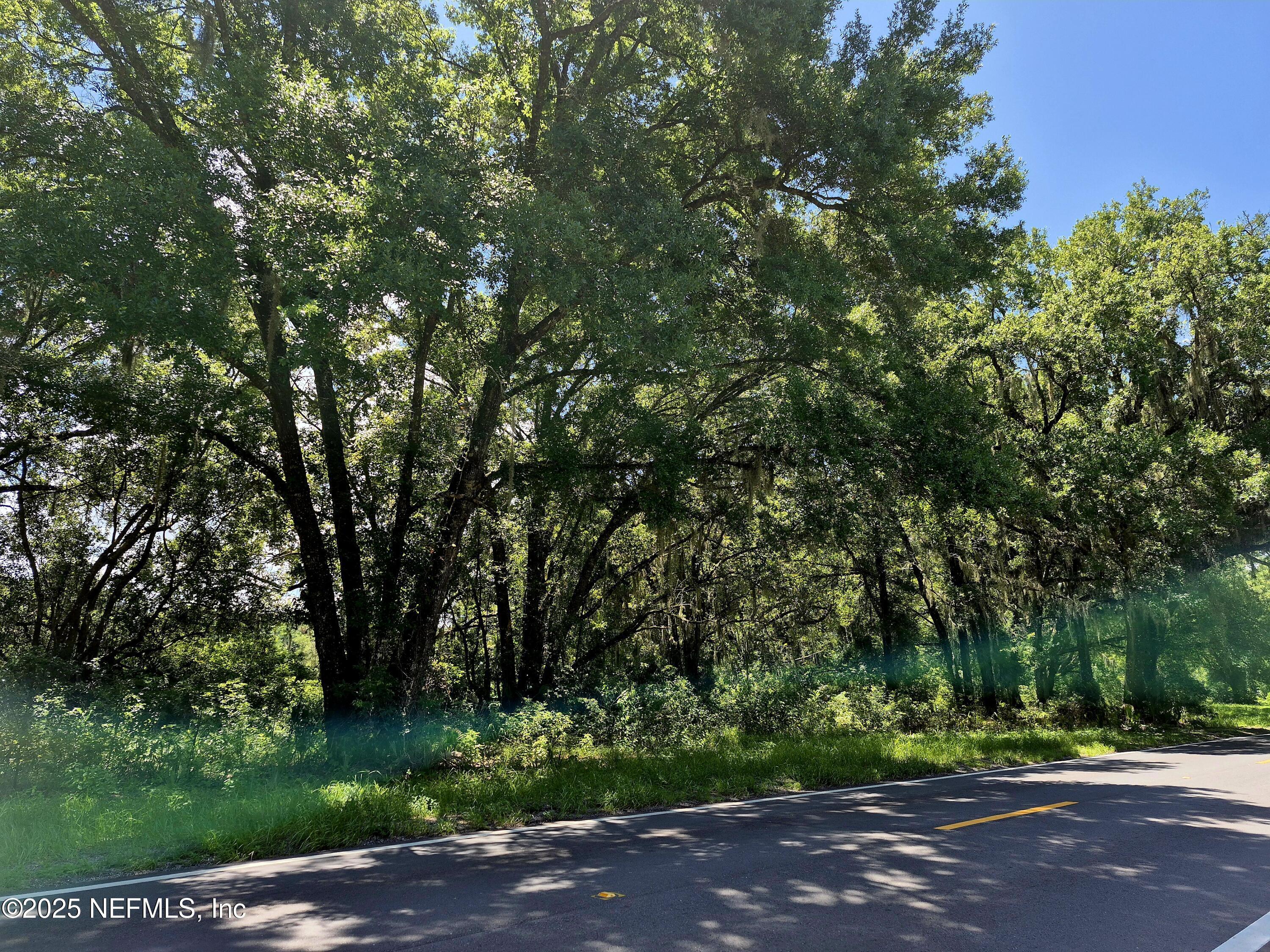 Property Photo:  370 Union Avenue  FL 32112 