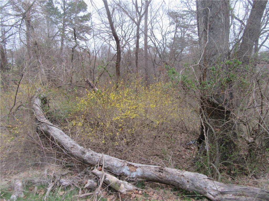 Property Photo:  Paxos Street  AR 72632 