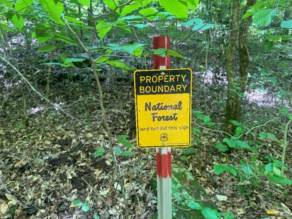Property Photo:  Tract 1 Nc 7540  AR 72854 