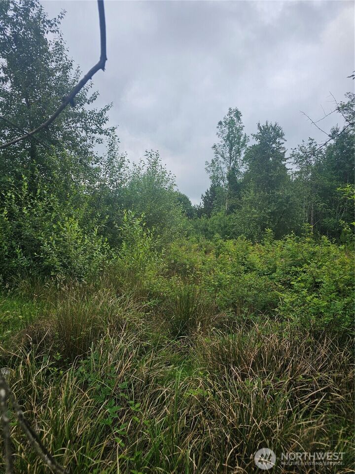Property Photo:  565  Oyler Road  WA 98542 
