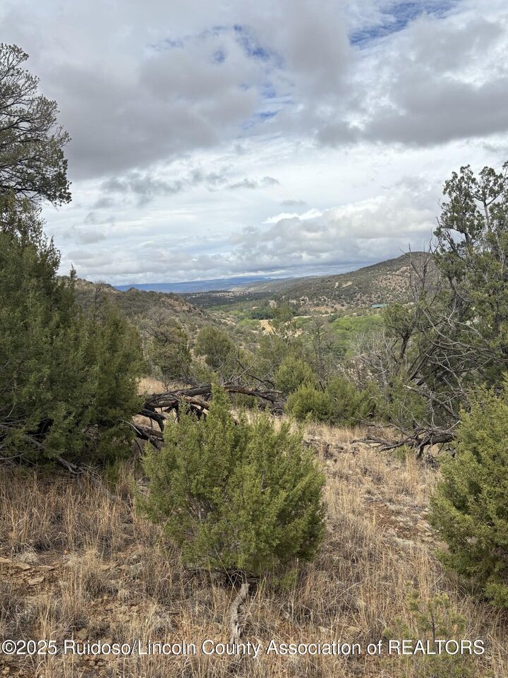Lot 88 &89 Sandesta Dr.  Alto NM 88312 photo