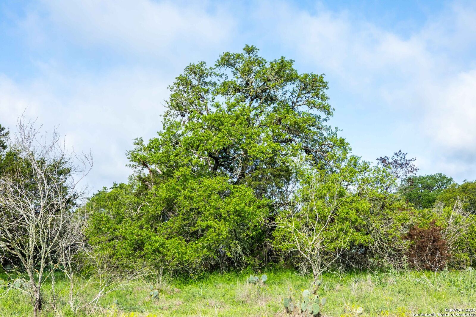 Property Photo: Tbd Hilliard TX 78666