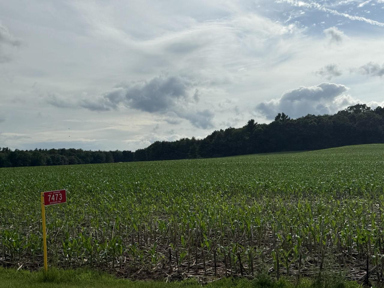Property Photo:  7473 Division Road  WI 54660 