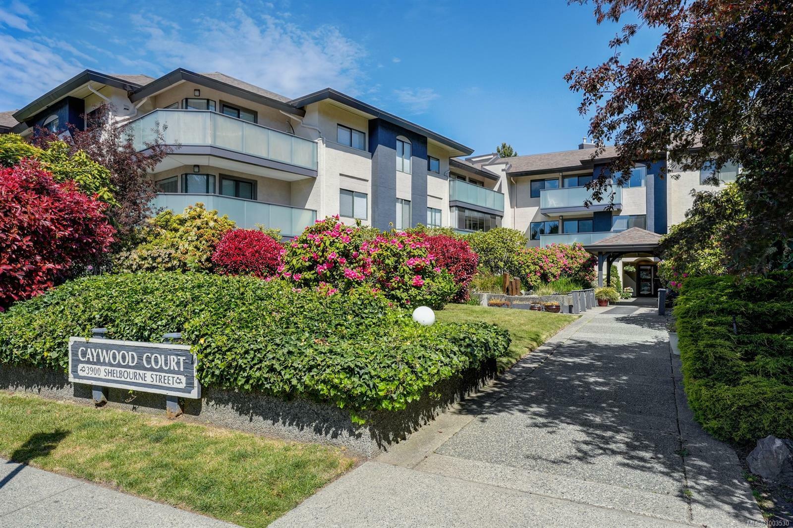 3900 Shelbourne St 206  Saanich BC V8P 4H8 photo