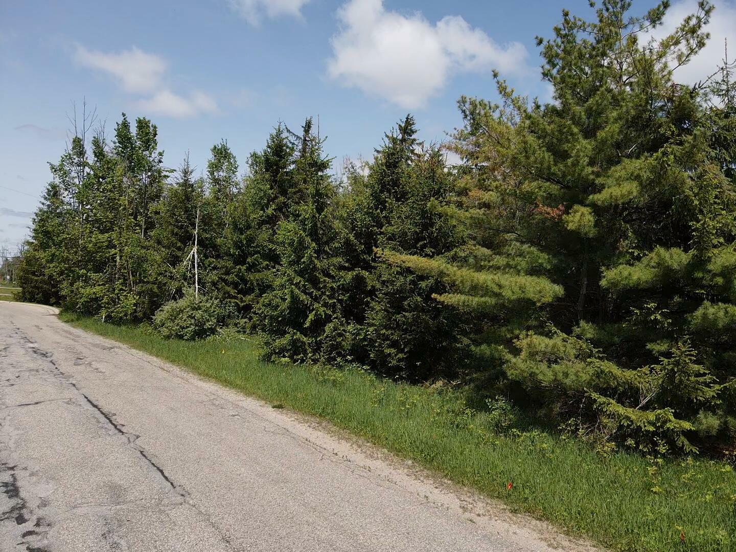Property Photo: Lot 1 E West Resort Road MI 49706