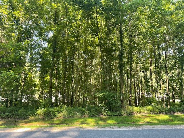 Property Photo: Lot 79 Seaside Rd VA 23310