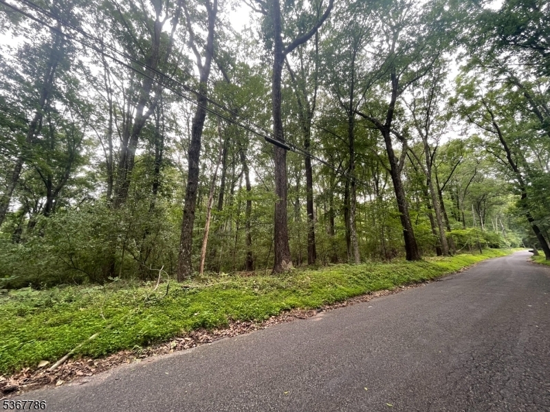19 Polktown Rd  Union Twp. NJ 08827 photo