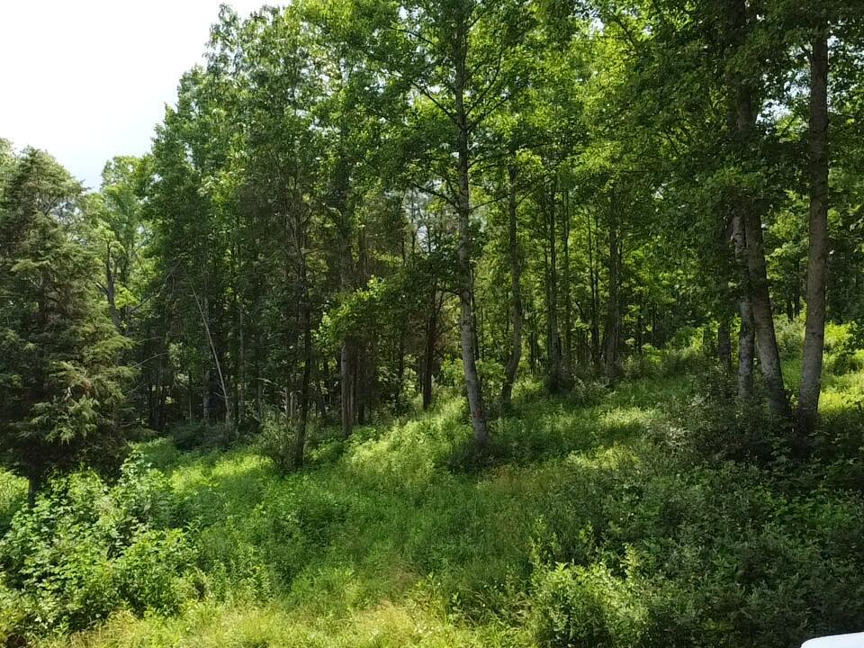 Property Photo: Lot 18 Grandview Dr WV 24935