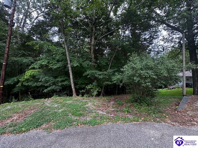 Property Photo: Lot 55 Bluebird Road KY 40108