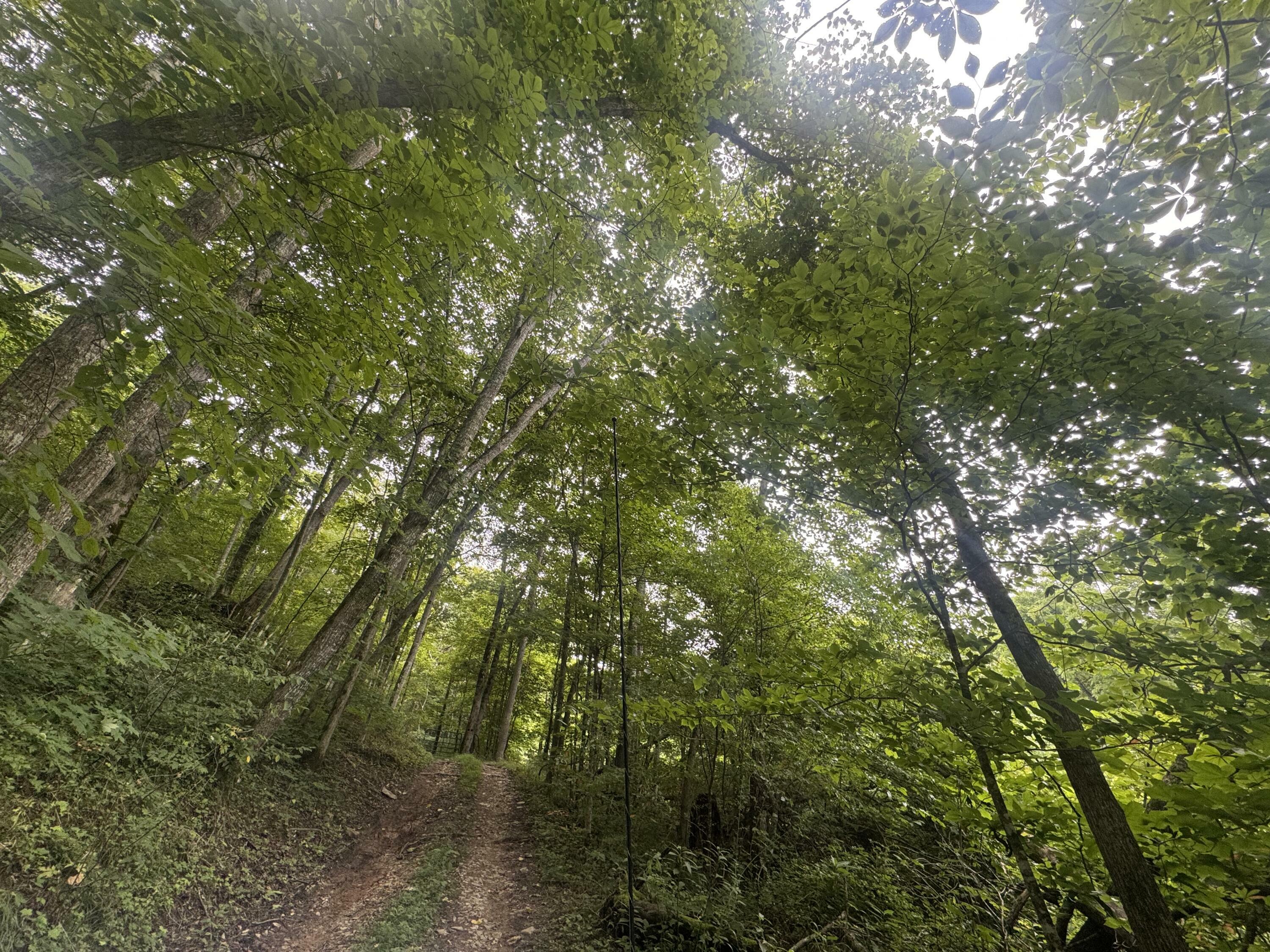 Property Photo: 500 Hail Bridge Road KY 42501