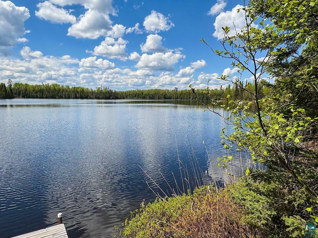 Property Photo:  74 Moose Ridge Rd  MN 55604 