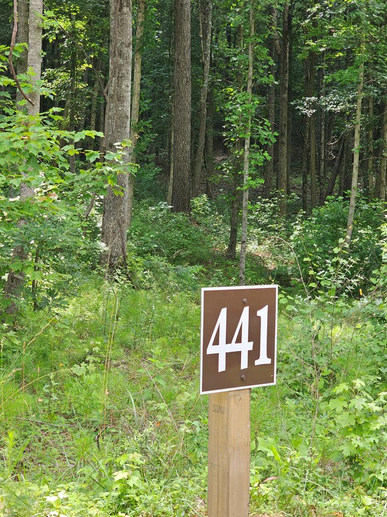 Property Photo:  0 Twisted Oak Road  GA 30175 