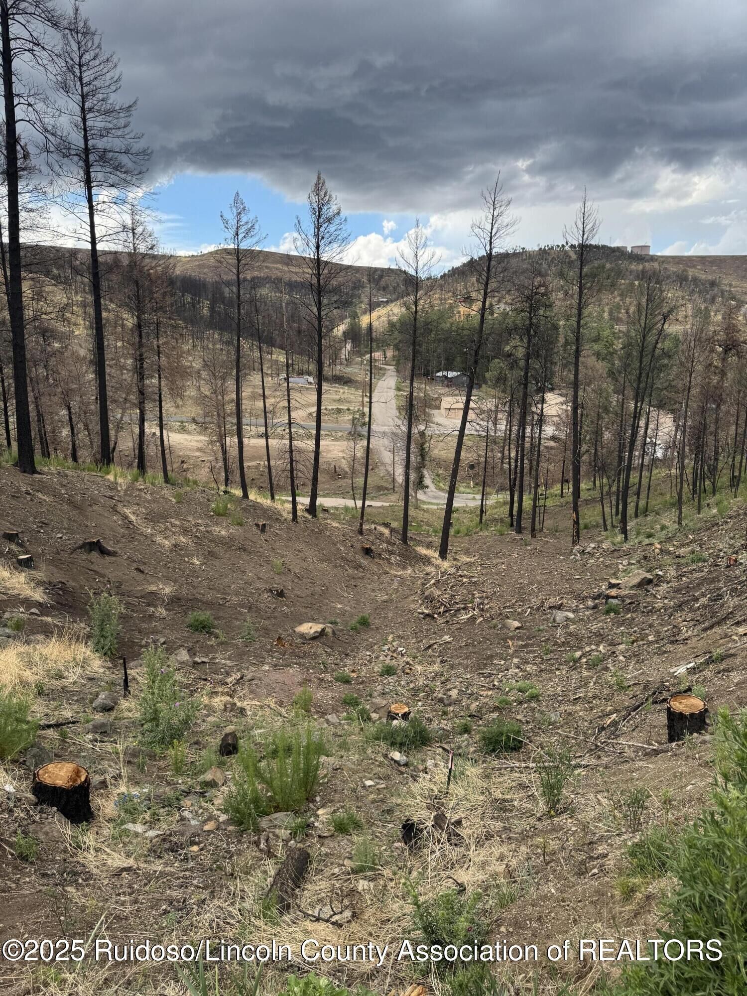 Property Photo:  110 Tahoe Drive  NM 88345 