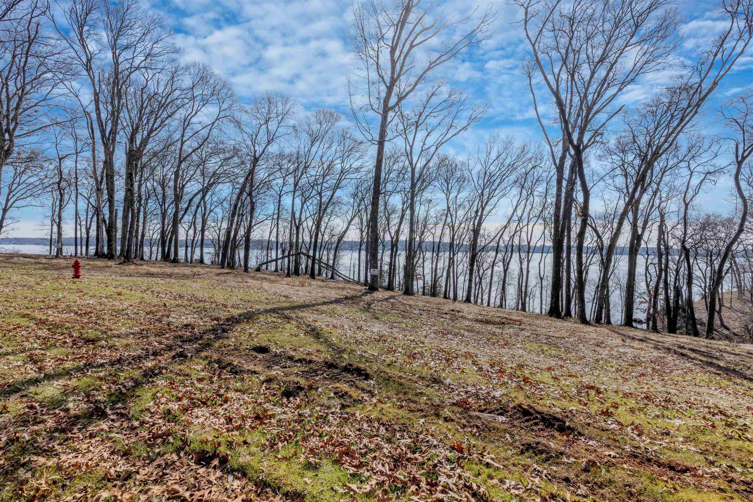 Property Photo: 00 Highland Cove AL 35630 - FLORENCE