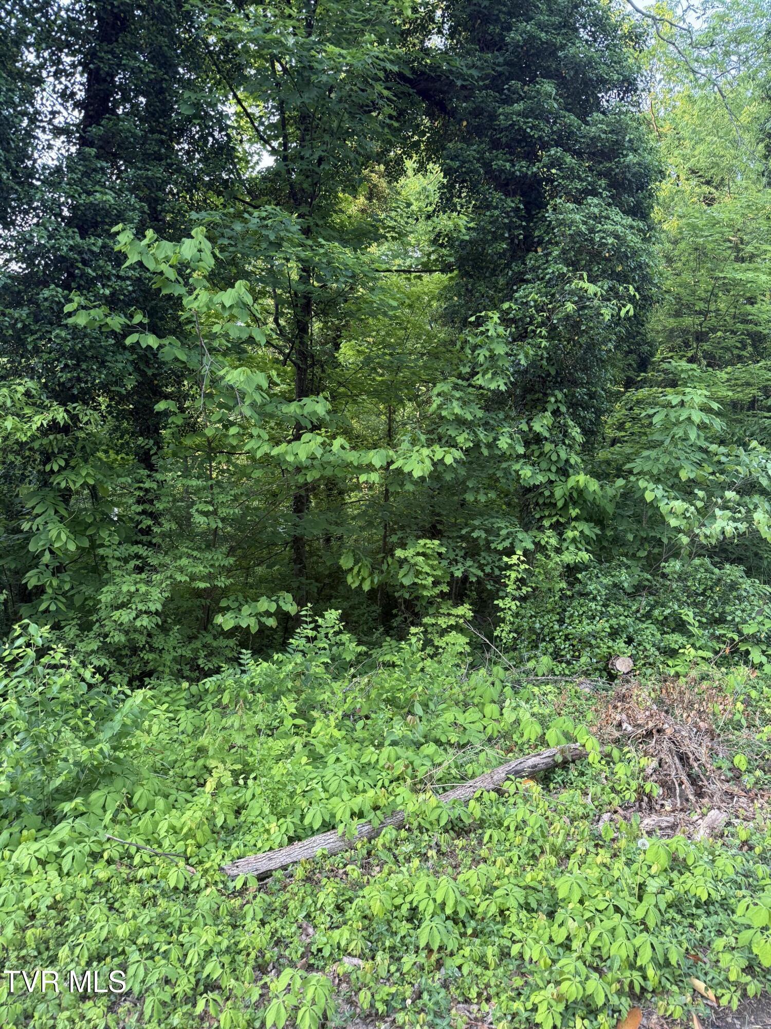 Property Photo:  Lot 17 Ashley Street  TN 37664 