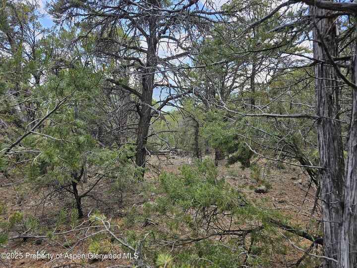 Property Photo:  3221 Elk Springs Drive  CO 81601 