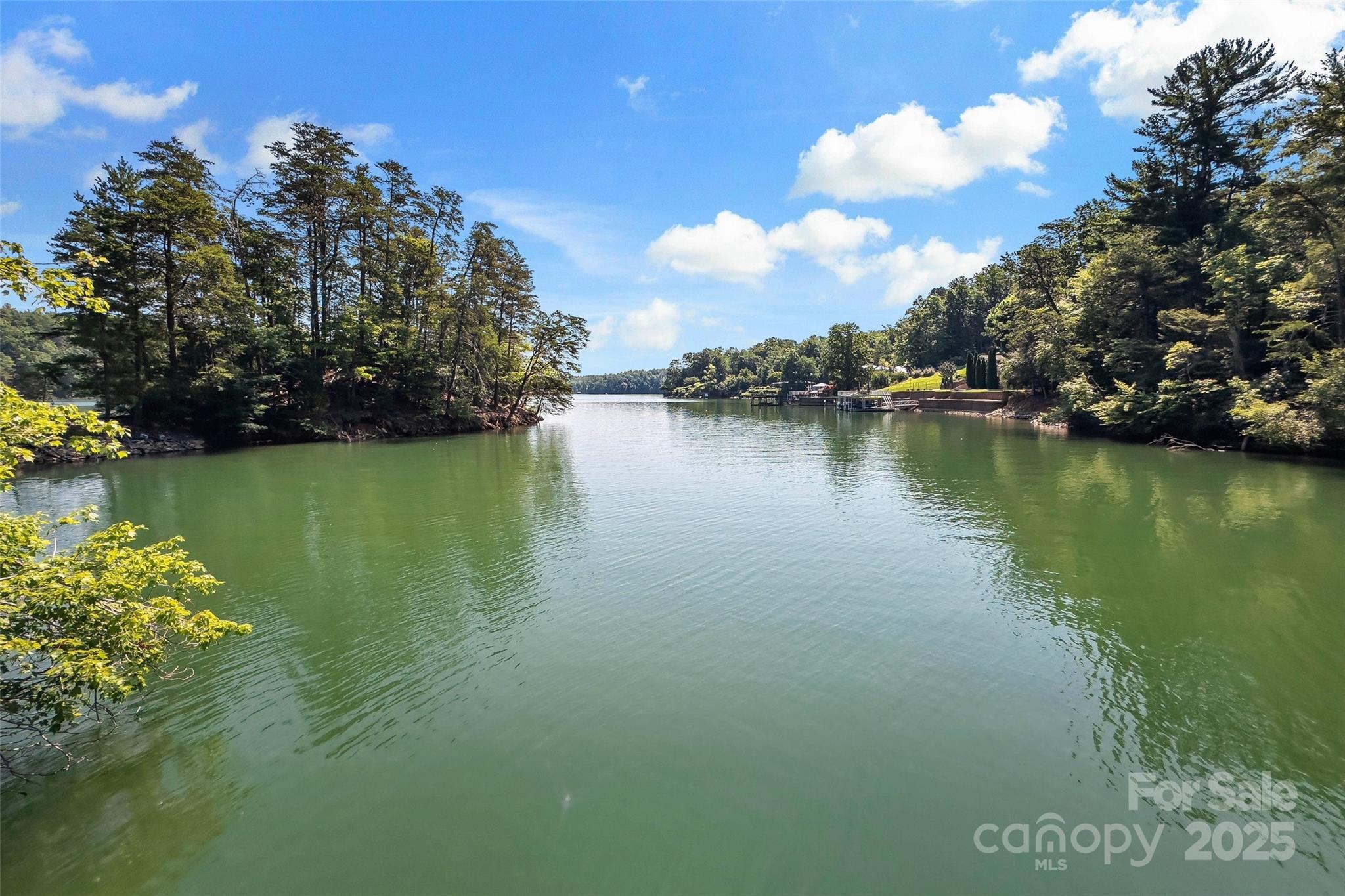 Property Photo: 1181 Forest Lake Heights Drive NC 28761