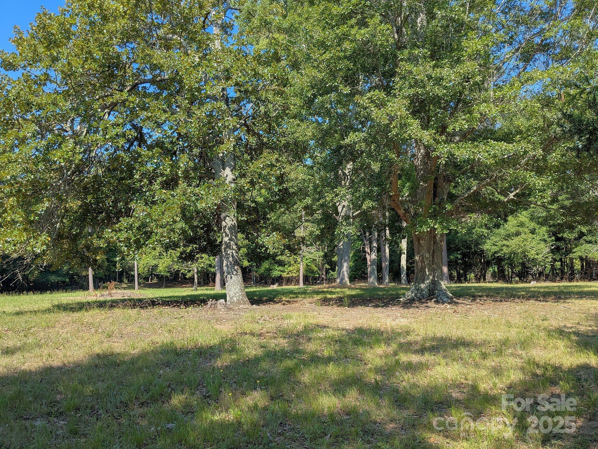 Property Photo:  0000 Tract #1A Roddey Road  SC 29704 