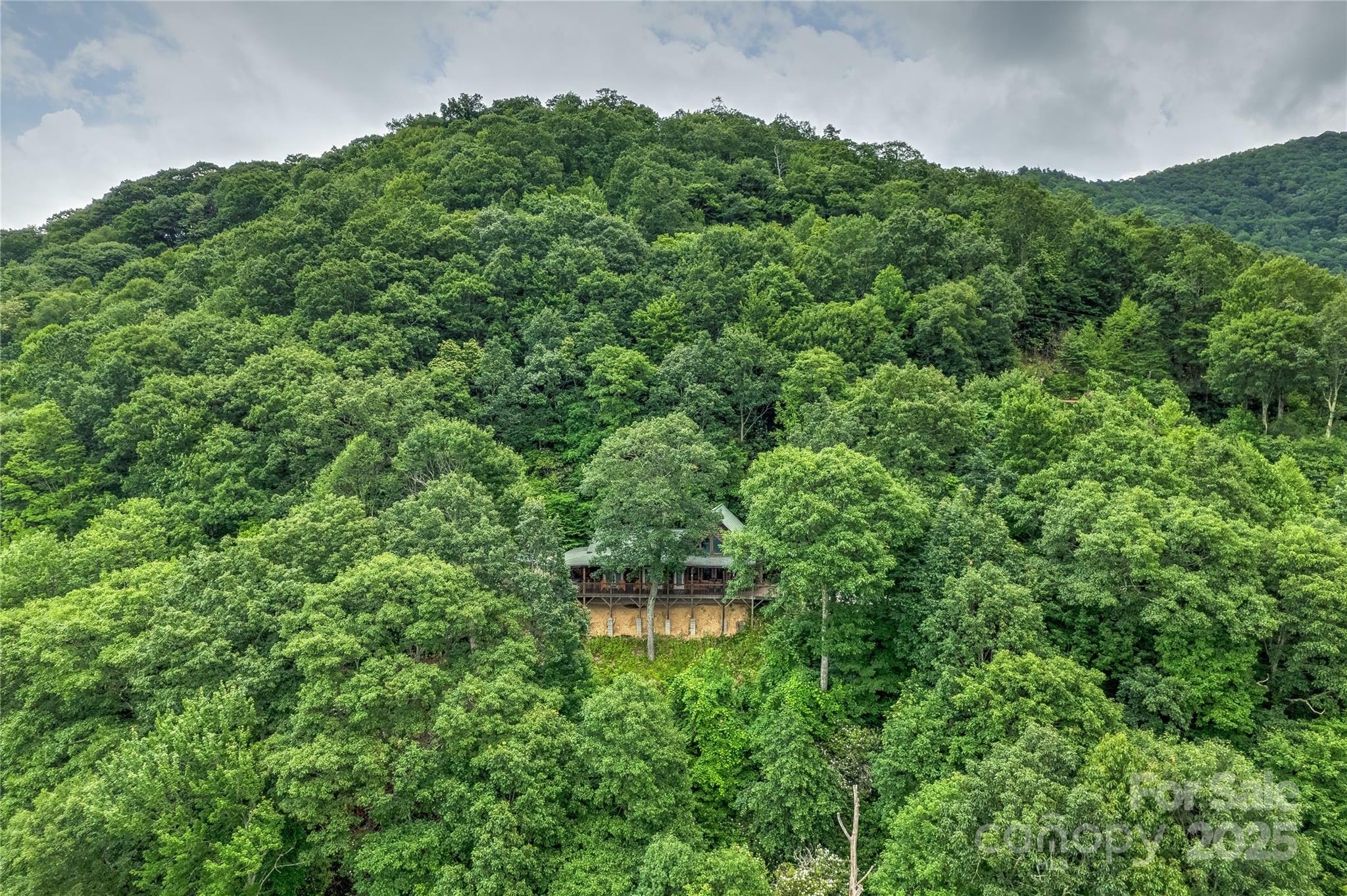 Property Photo:  1253 Forest Drive  NC 28751 