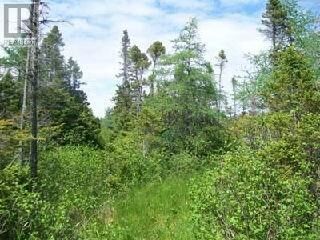 Property Photo:  46A & 50B Kippens Road  NL A2N 1A7 
